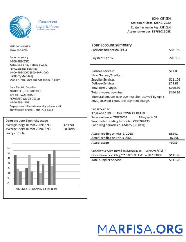 Downloadable USA Connecticut Light & Power electricity utility bill in Word and PDF format sample